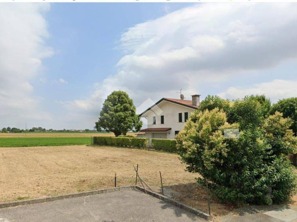 terreno agricolo in vendita a Vescovana in zona Santa Maria D'Adige