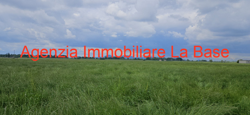 terreno agricolo in vendita a Vescovana