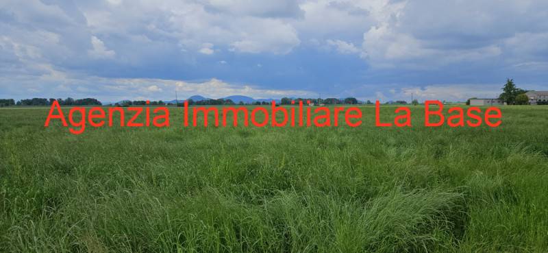 terreno agricolo in vendita a Vescovana