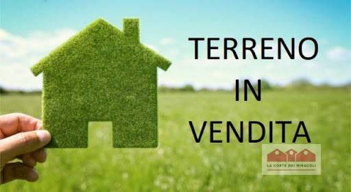 terreno edificabile in vendita a Vescovana
