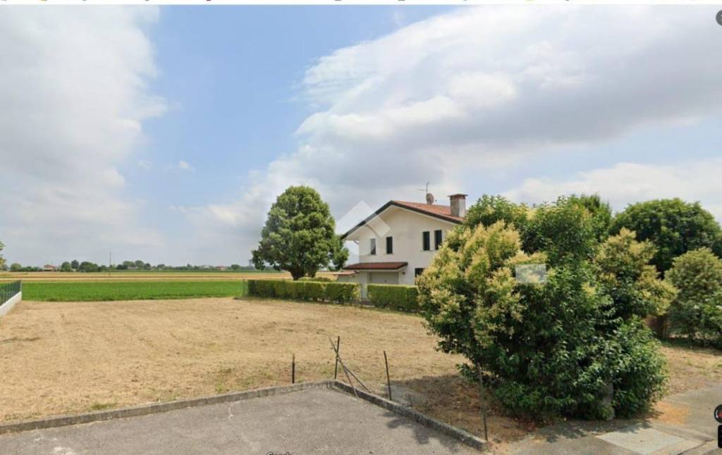 terreno agricolo in vendita a Vescovana in zona Santa Maria D'Adige