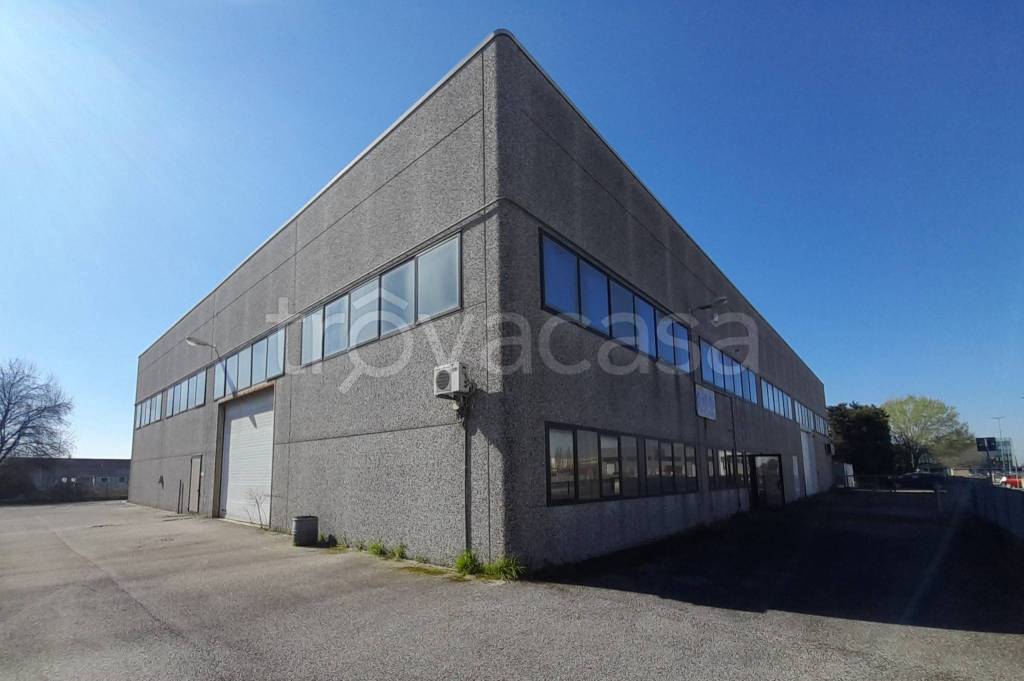 locale commerciale in vendita a Vescovana