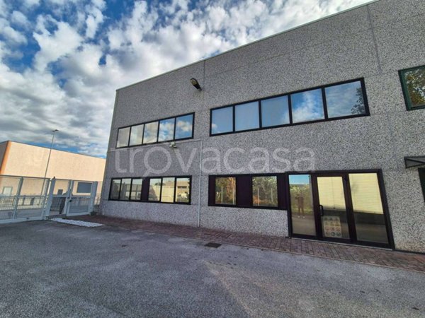 appartamento in vendita a Vescovana
