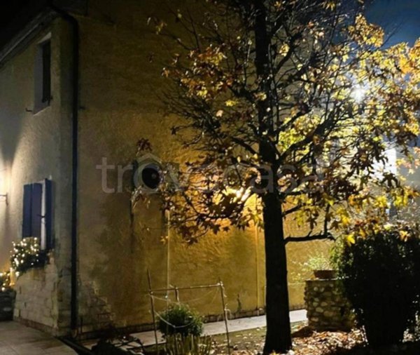 casa indipendente in vendita a Vescovana