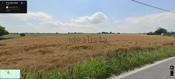 terreno agricolo in vendita a Vescovana