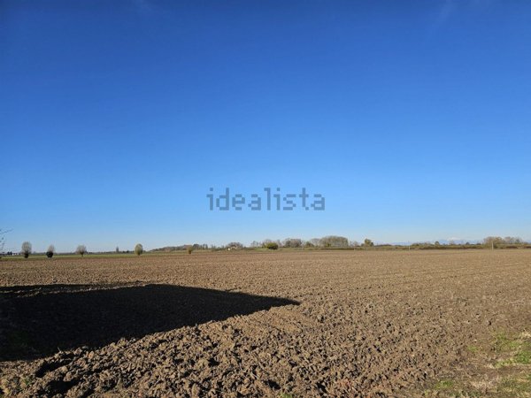 casa indipendente in vendita a Vescovana
