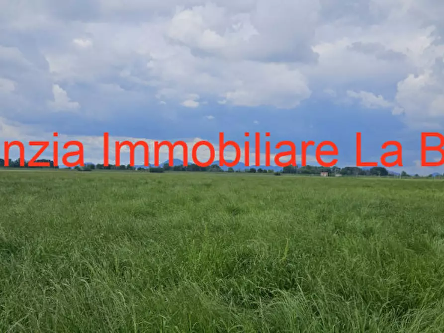 attico in vendita a Vescovana