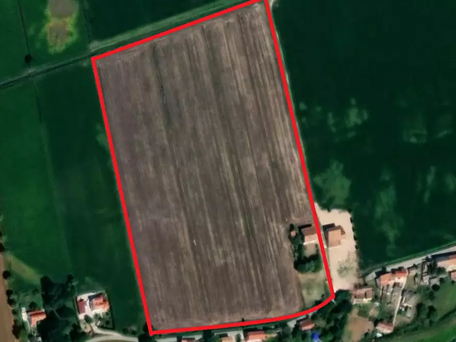 attico in vendita a Vescovana