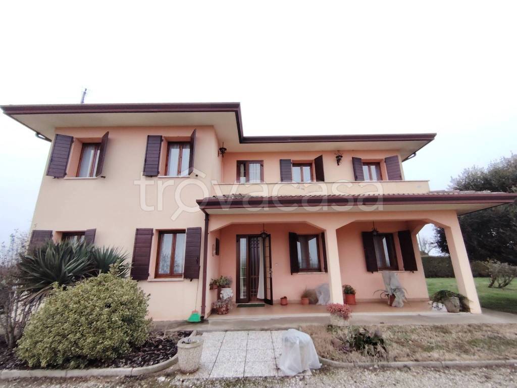 casa indipendente in vendita a Vescovana