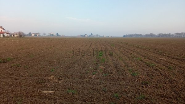 casa indipendente in vendita a Vescovana in zona Santa Maria D'Adige