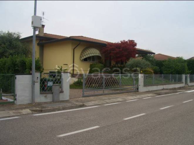 casa indipendente in vendita a Vescovana