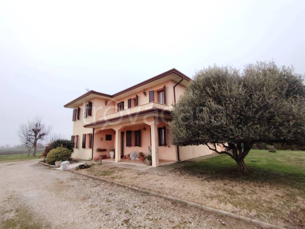 casa indipendente in vendita a Vescovana