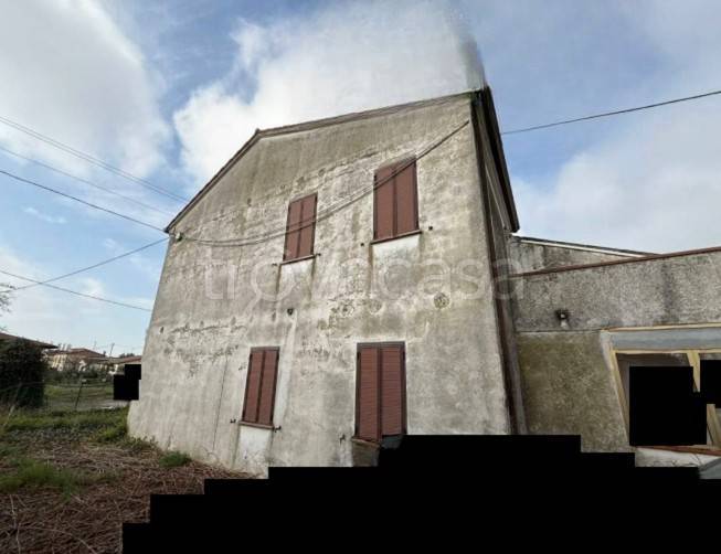 quadrivano in vendita a Vescovana