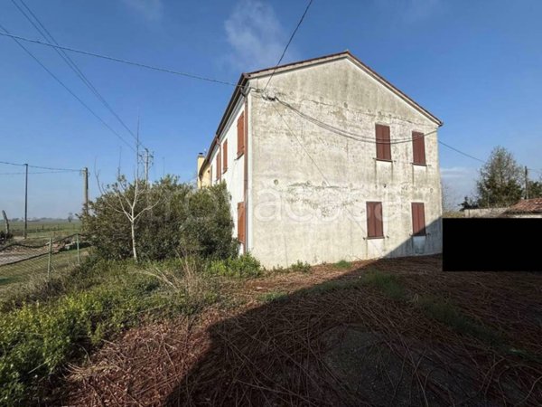 appartamento in vendita a Vescovana in zona Santa Maria D'Adige