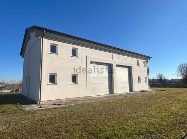 casa indipendente in vendita a Vigodarzere