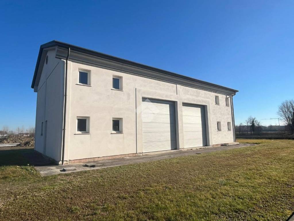 casa indipendente in vendita a Vigodarzere