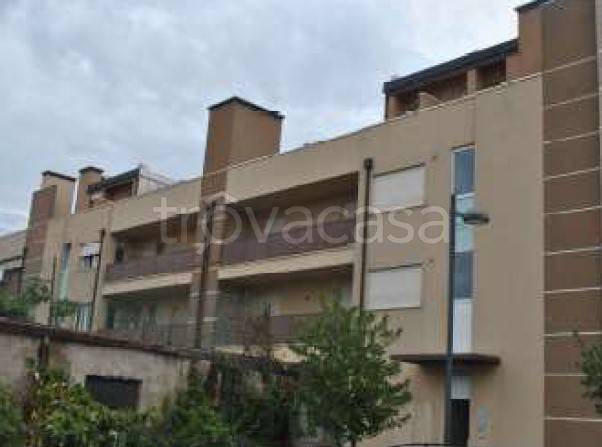 appartamento in vendita a Vigodarzere