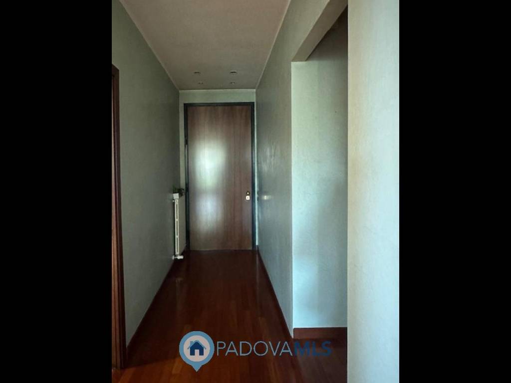 casa indipendente in vendita a Vigodarzere