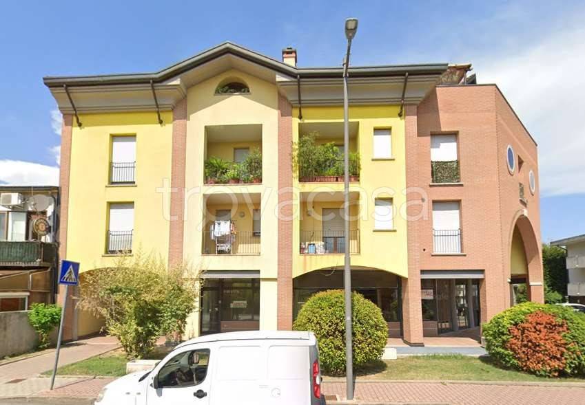 appartamento in vendita a Vigodarzere