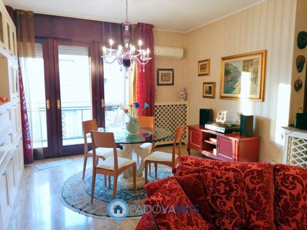 casa indipendente in vendita a Vigodarzere in zona Saletto