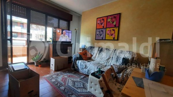 appartamento in vendita a Vigodarzere