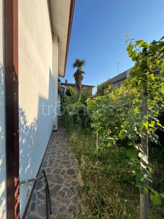 casa indipendente in vendita a Vigodarzere
