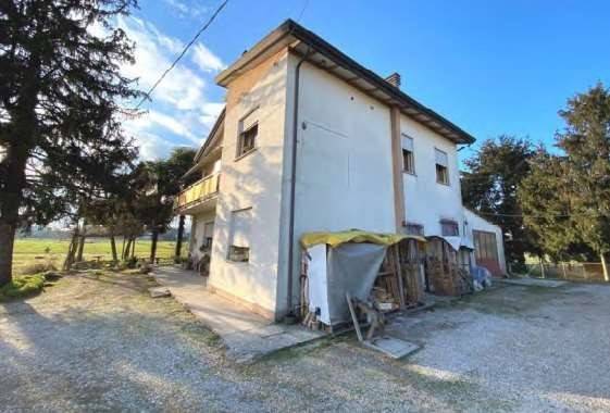 casa indipendente in vendita a Vigodarzere
