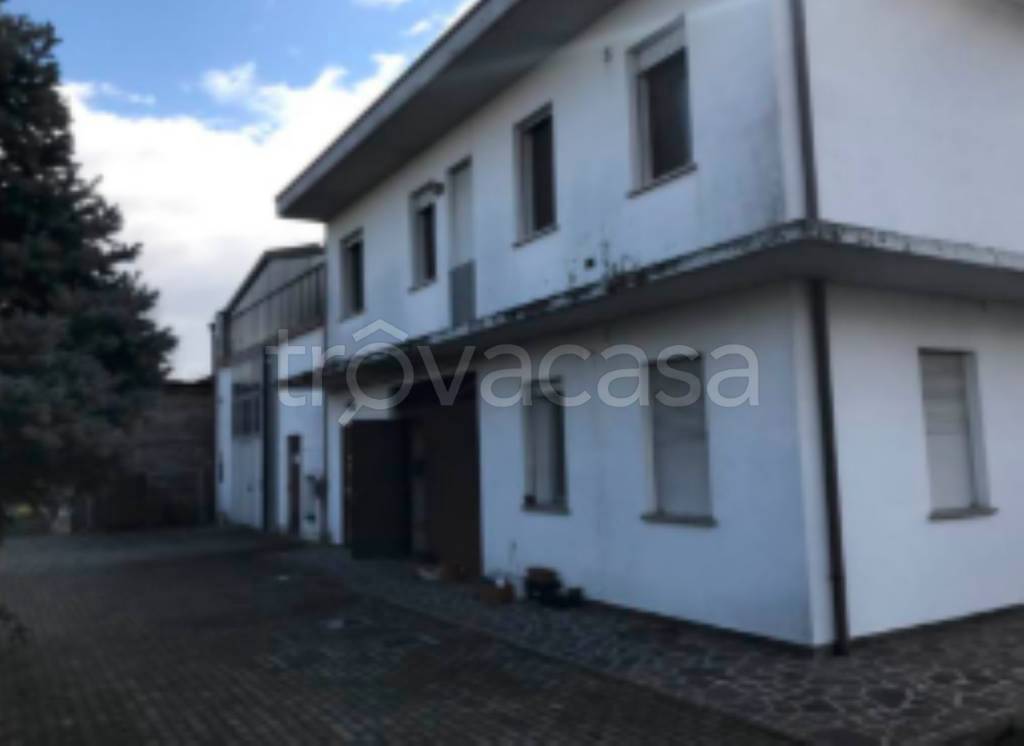 appartamento in vendita a Vigodarzere