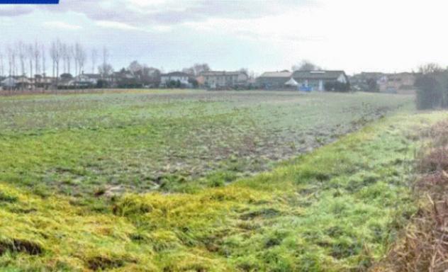 terreno agricolo in vendita a Vigodarzere in zona Tavo