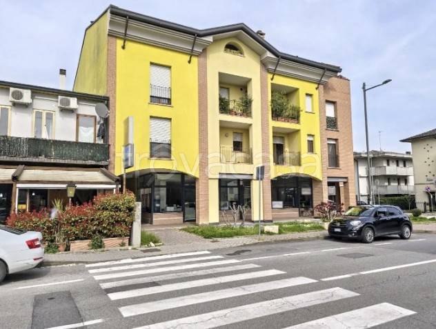 appartamento in vendita a Vigodarzere
