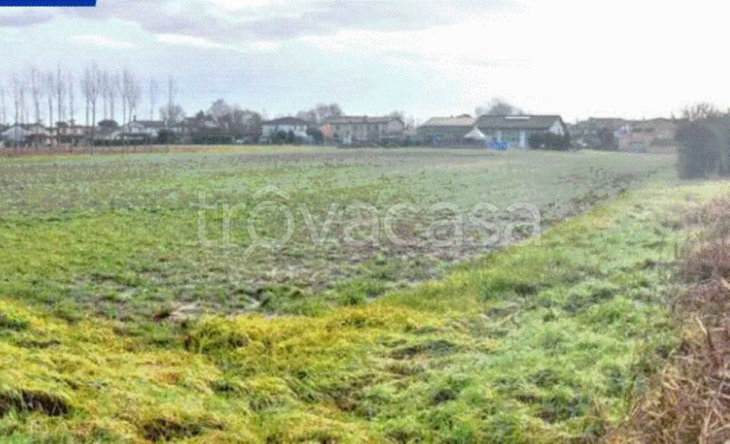 terreno agricolo in vendita a Vigodarzere in zona Tavo