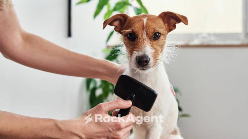 casa indipendente in vendita a Vigodarzere in zona Saletto