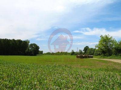villetta a schiera in vendita a Vigodarzere