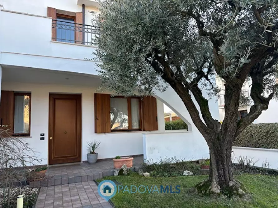 casa indipendente in vendita a Vigodarzere