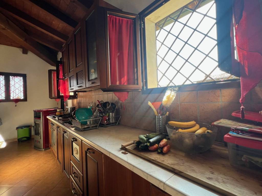 casa indipendente in vendita a Vigodarzere