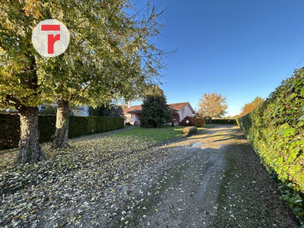 casa indipendente in vendita a Vigodarzere
