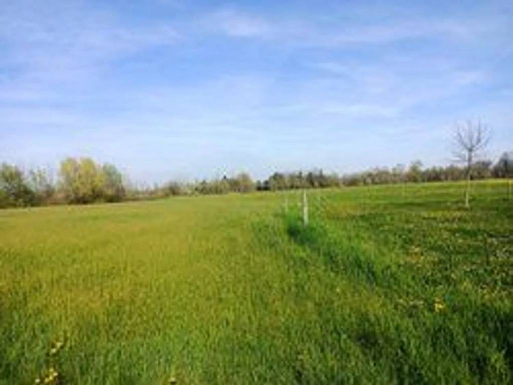 terreno agricolo in vendita a Vigodarzere in zona Tavo