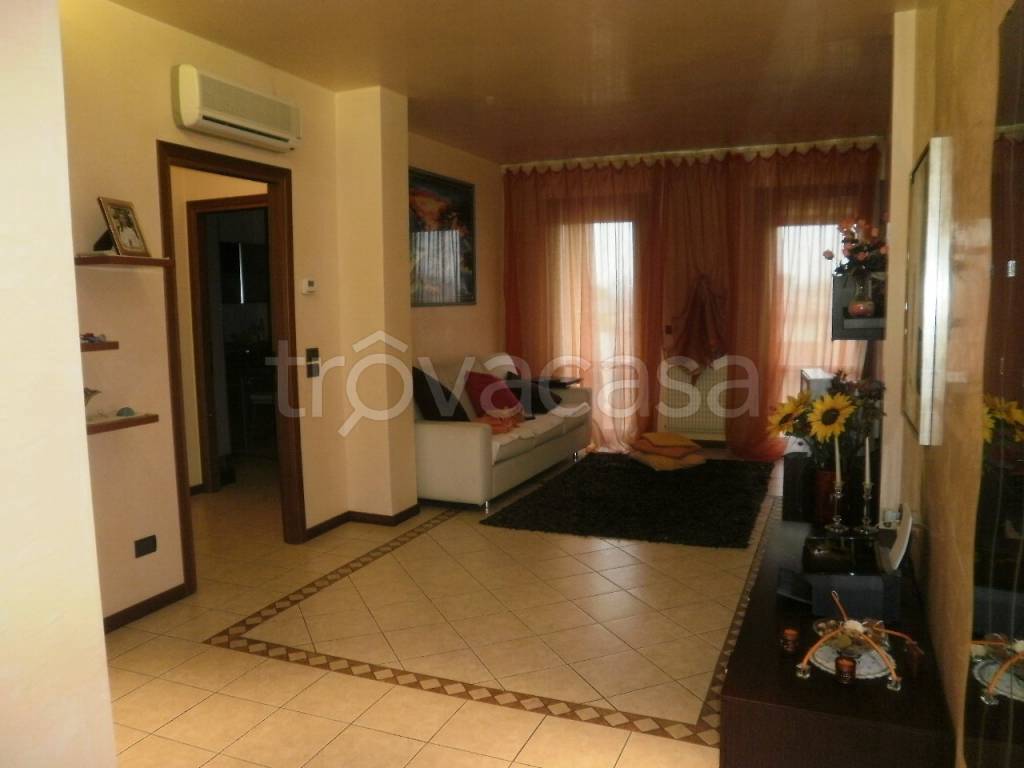 appartamento in vendita a Vigodarzere