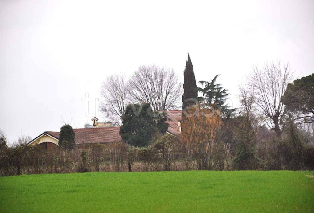 appartamento in vendita a Vigodarzere