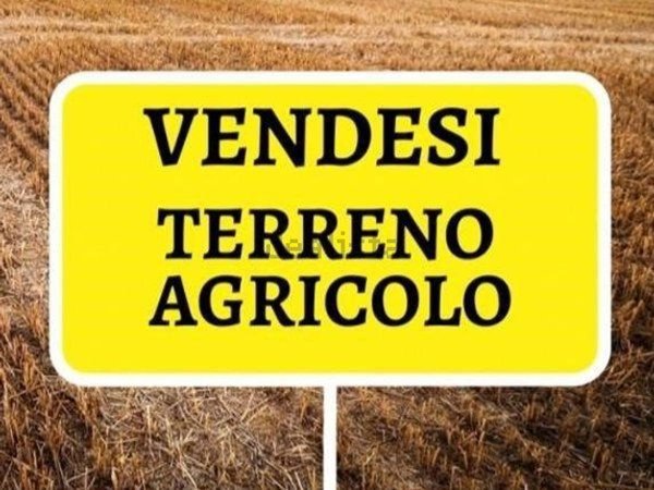 terreno edificabile in vendita a Vigodarzere in zona Saletto