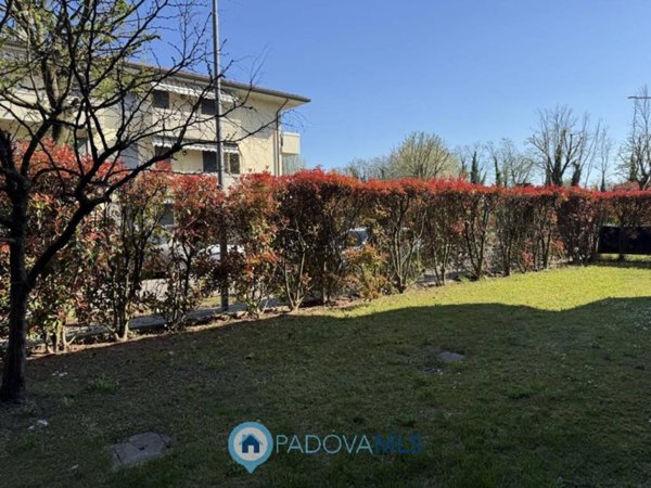 appartamento in vendita a Vigodarzere