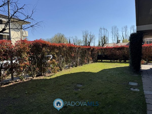 appartamento in vendita a Vigodarzere