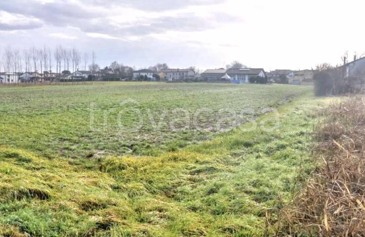 terreno agricolo in vendita a Vigodarzere in zona Tavo