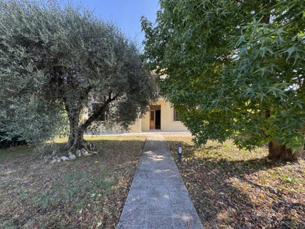 casa indipendente in vendita a Vigodarzere
