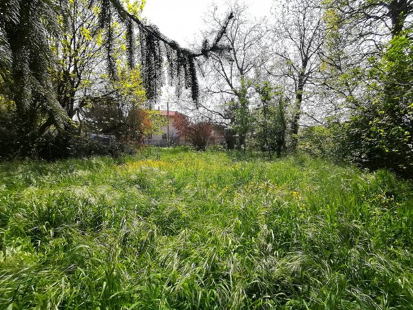 casa indipendente in vendita a Vigonza