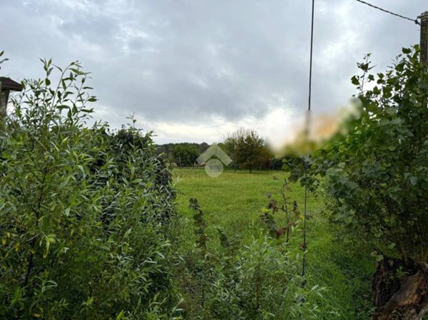 terreno agricolo in vendita a Vigonza in zona Pionca