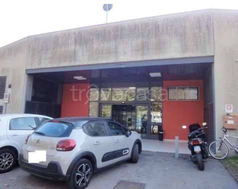 immagine annuncio 0 di 1