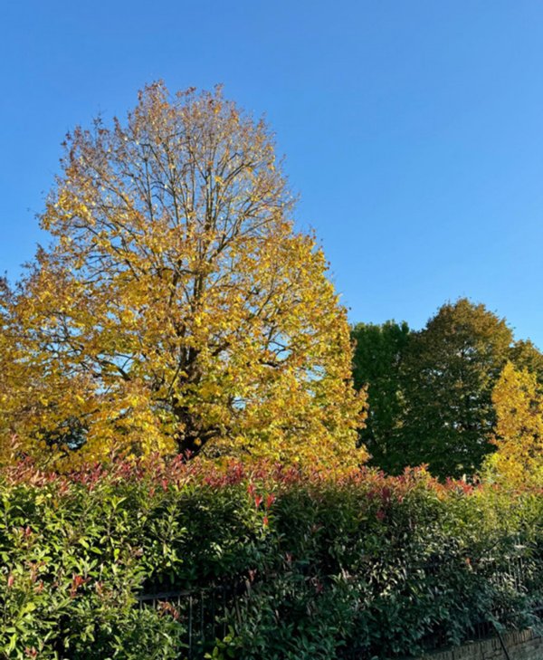 casa indipendente in vendita a Vigonza