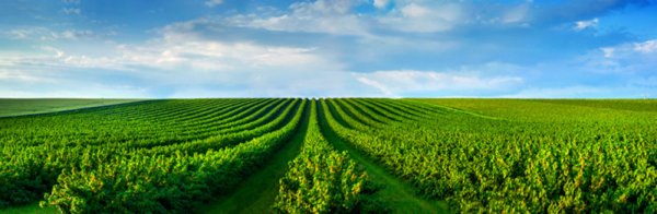 intera palazzina in vendita a Vigonza