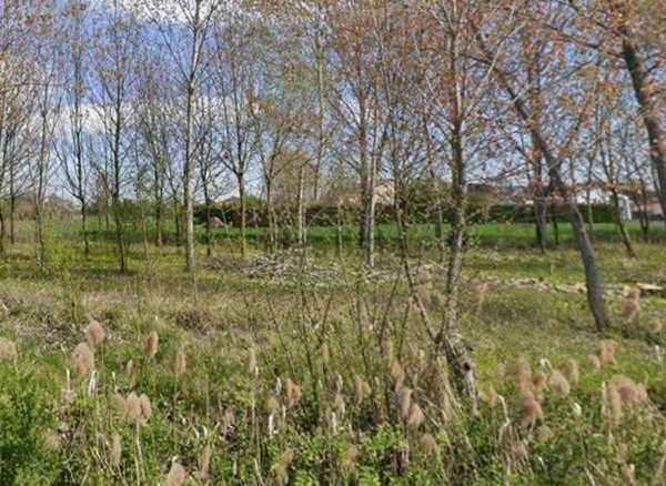 terreno agricolo in vendita a Vigonza